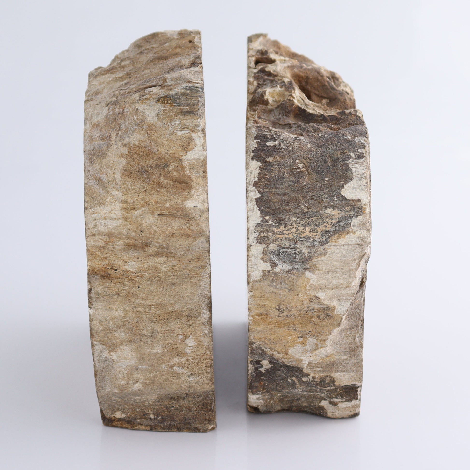 Bookends Petrified Wood - Expert Wholesale and Supplier of Wholesale Crystals & Bulk Gemstones, ["Bookends","Indonesia","Petrified Wood"]