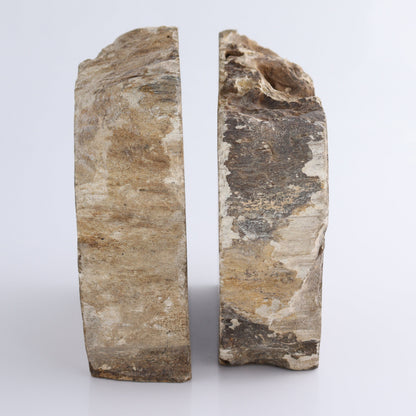 Bookends Petrified Wood - Expert Wholesale and Supplier of Wholesale Crystals & Bulk Gemstones, ["Bookends","Indonesia","Petrified Wood"]