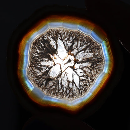 Iris Agate Slices Set of 6 - Expert Wholesale and Supplier of Wholesale Crystals & Bulk Gemstones, ["Agate","Iris Agate","Slices and Slabs"]