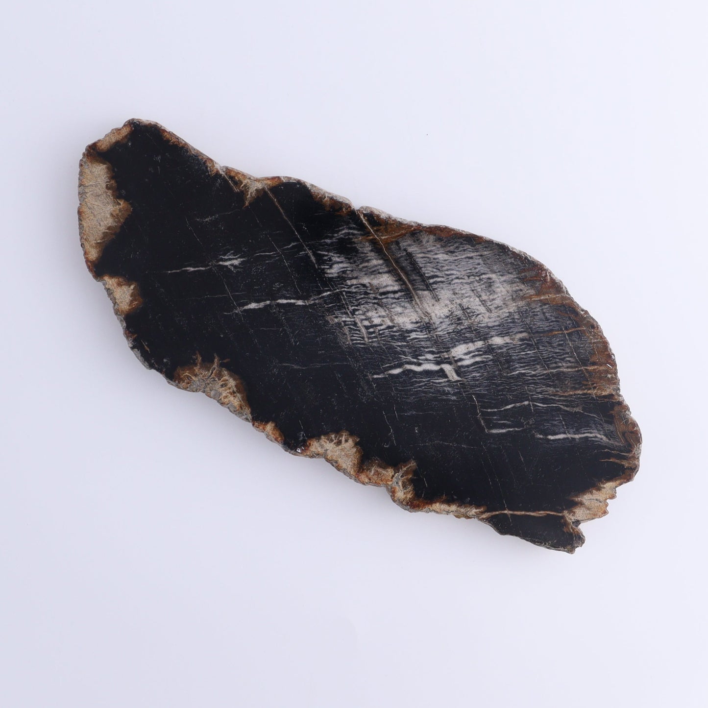 Petrified Wood Slices & Slabs Set of 4 - Expert Wholesale and Supplier of Wholesale Crystals & Bulk Gemstones, ["Freeforms","Indonesia","Petrified Wood","Slices and Slabs"]