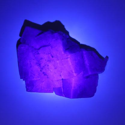 Purple Rain Pocket Fluorite Set of 4 - Expert Wholesale and Supplier of Wholesale Crystals & Bulk Gemstones, ["close_50","England","Fluorite","Purple Rain Pocket","Rough"]