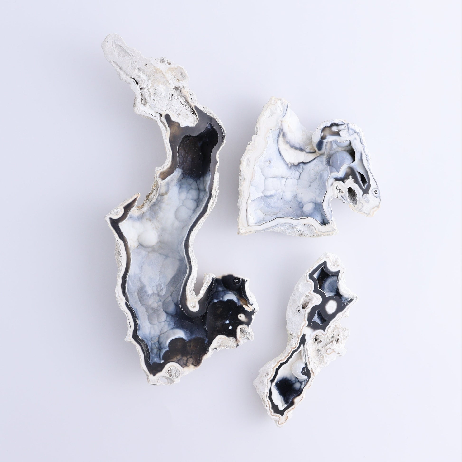 Agatized Coral Flat - Expert Wholesale and Supplier of Wholesale Crystals & Bulk Gemstones, ["Agate","Agatized Coral","Coral","United States"]