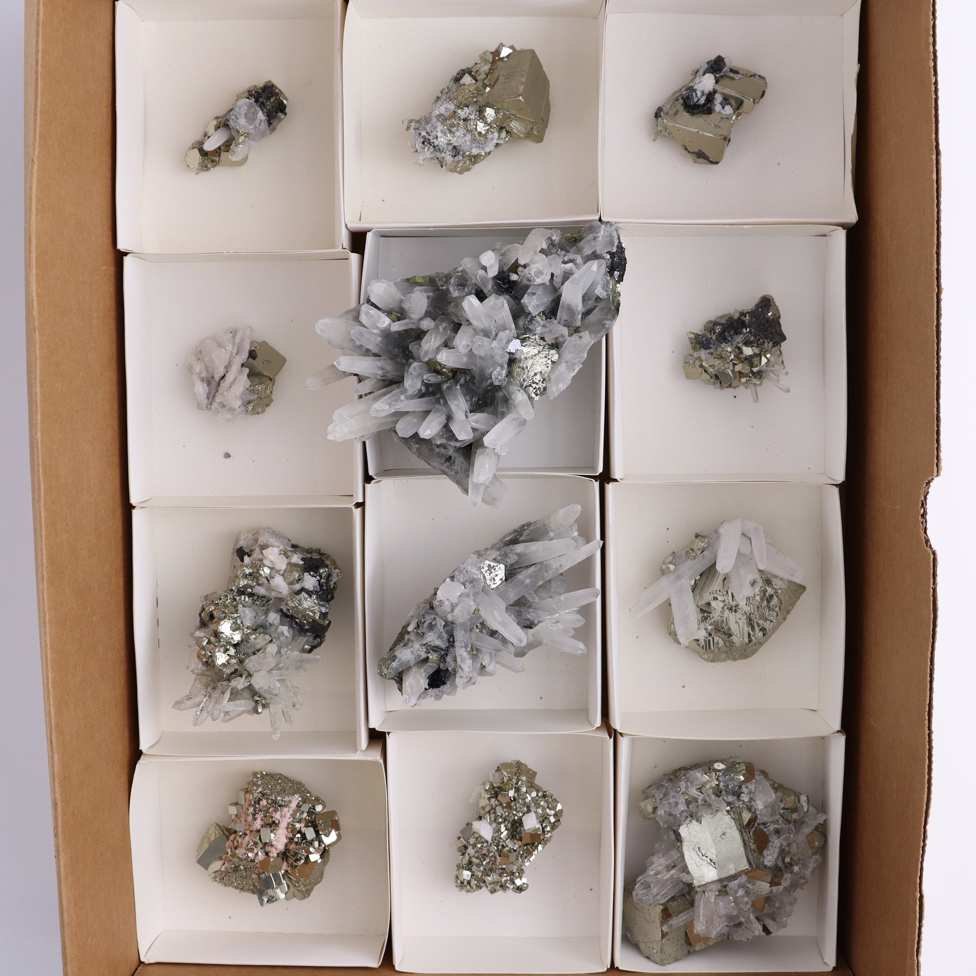 Quartz on Pyrite Set of 12 - Expert Wholesale and Supplier of Wholesale Crystals & Bulk Gemstones, ["Pyrite","Quartz"]