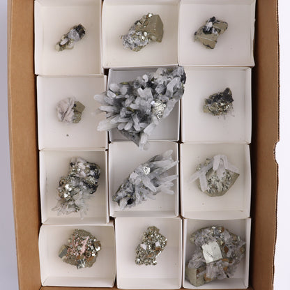 Quartz on Pyrite Set of 12 - Expert Wholesale and Supplier of Wholesale Crystals & Bulk Gemstones, ["Pyrite","Quartz"]