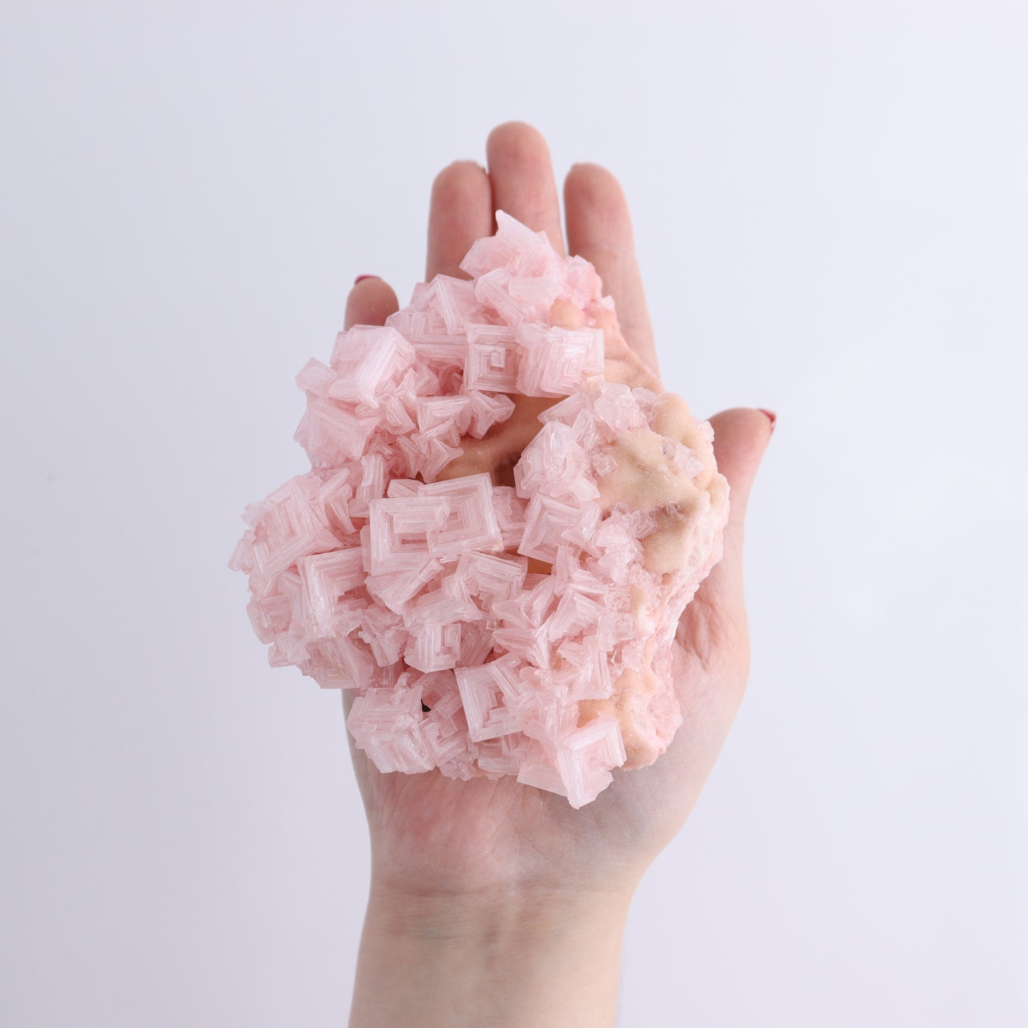 Halite Flat of 5 - Expert Wholesale and Supplier of Wholesale Crystals & Bulk Gemstones, ["Flats","Halite","United States"]