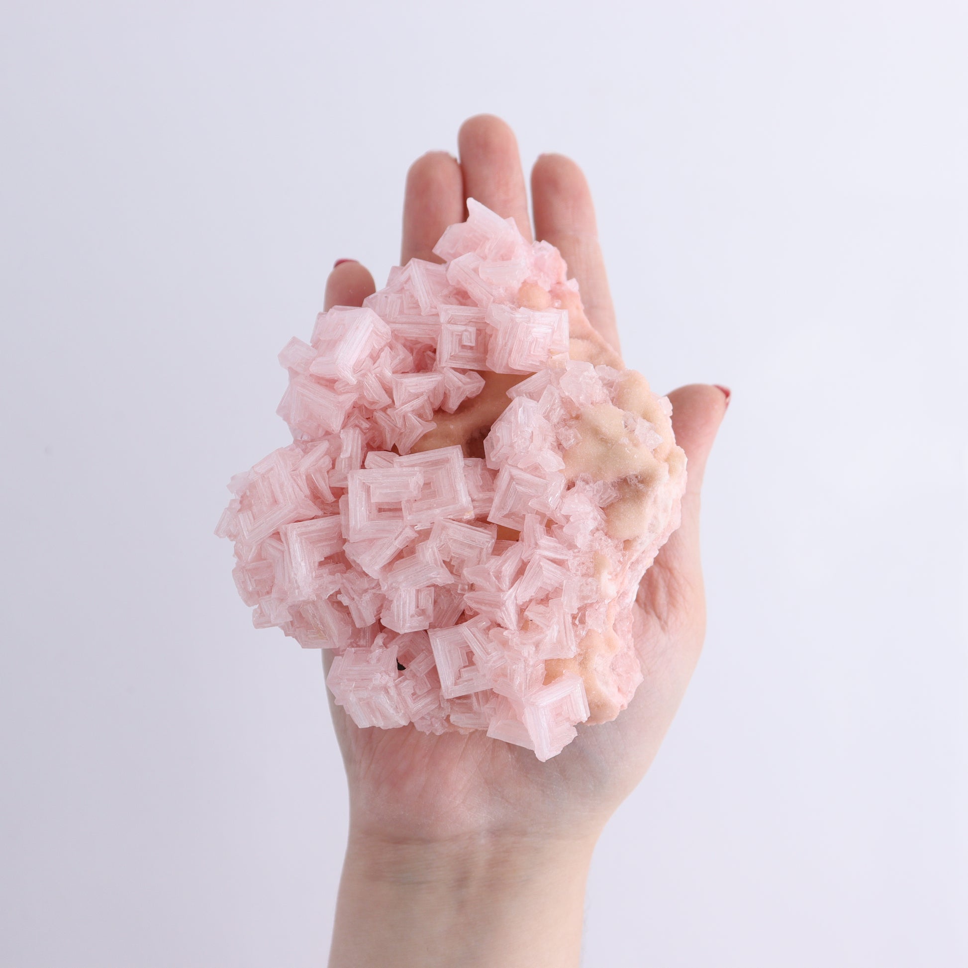 Halite Flat of 5 - Expert Wholesale and Supplier of Wholesale Crystals & Bulk Gemstones, ["Flats","Halite","United States"]