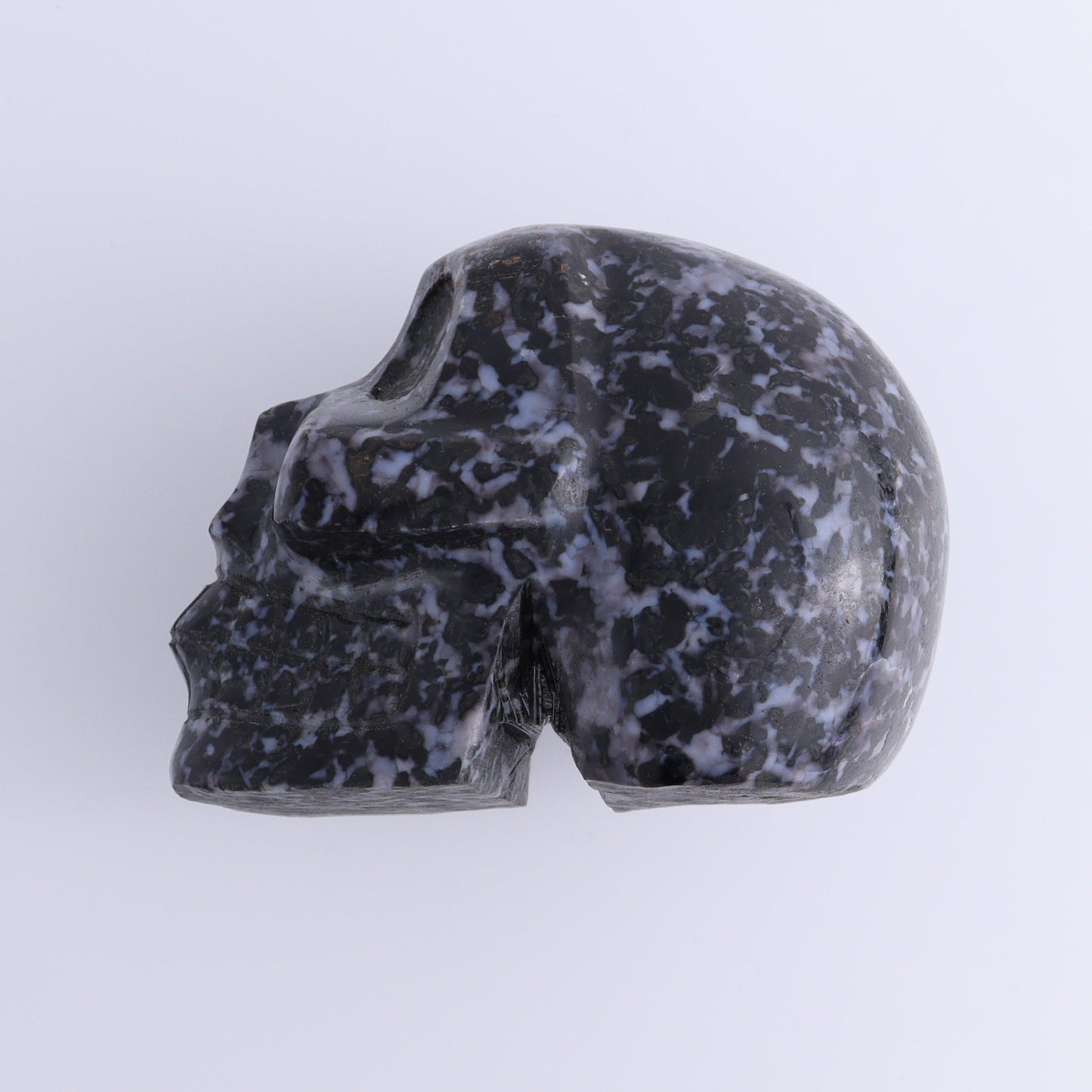 Indigo Gabbro Skull - Expert Wholesale and Supplier of Wholesale Crystals & Bulk Gemstones, ["Indigo Gabbro","Madagascar","Skulls"]