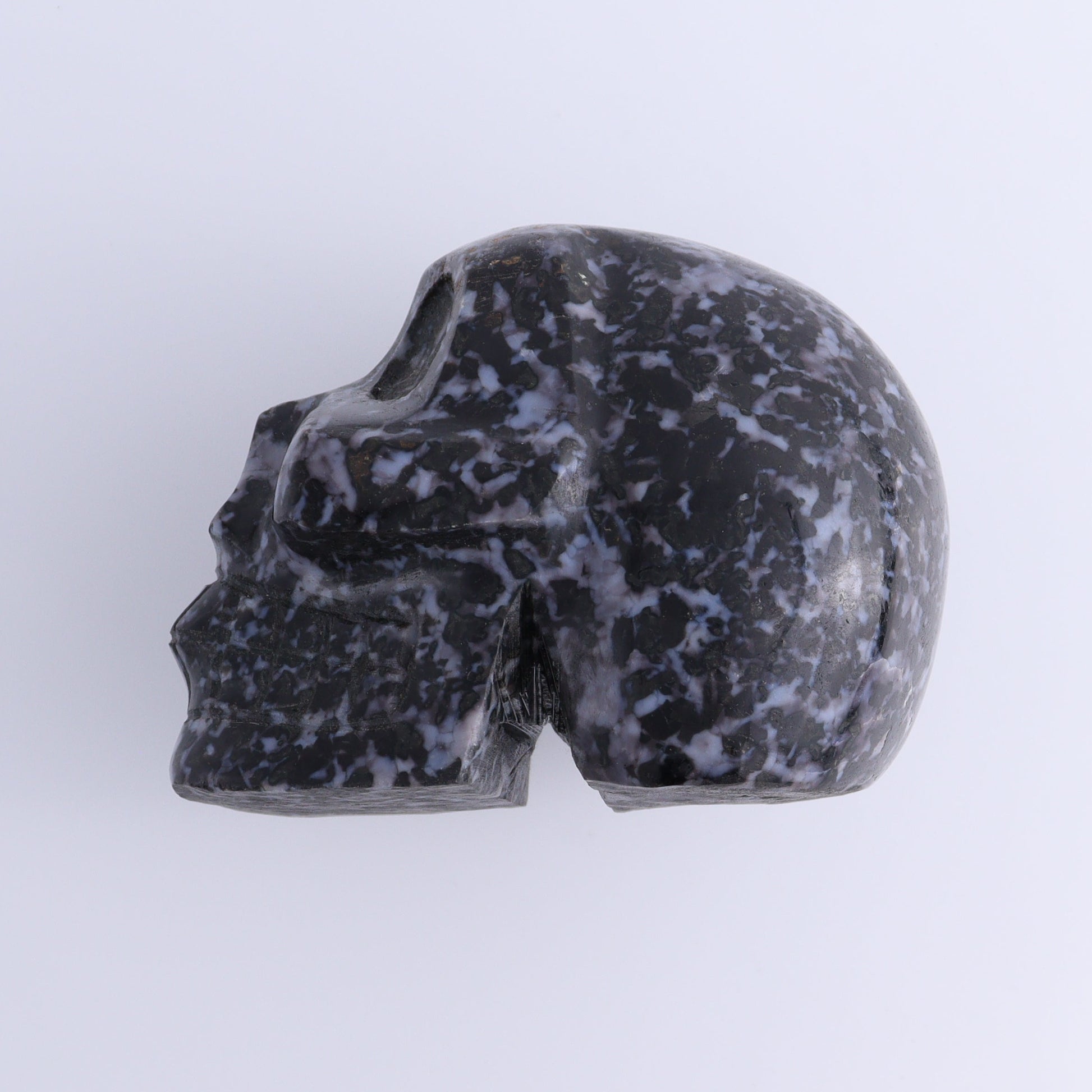 Indigo Gabbro Skull - Expert Wholesale and Supplier of Wholesale Crystals & Bulk Gemstones, ["Indigo Gabbro","Madagascar","Skulls"]