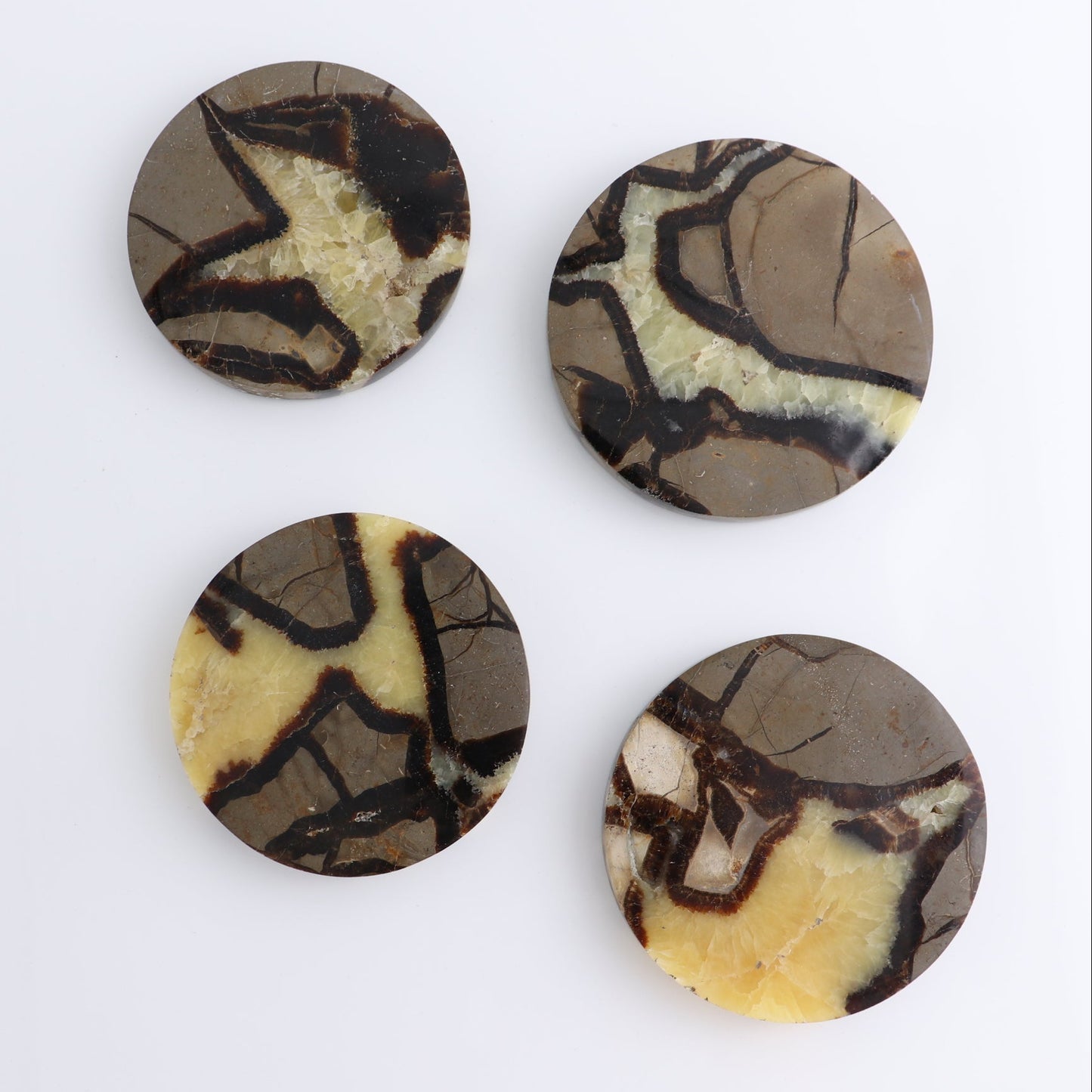 Septarian Coaster Set of 4