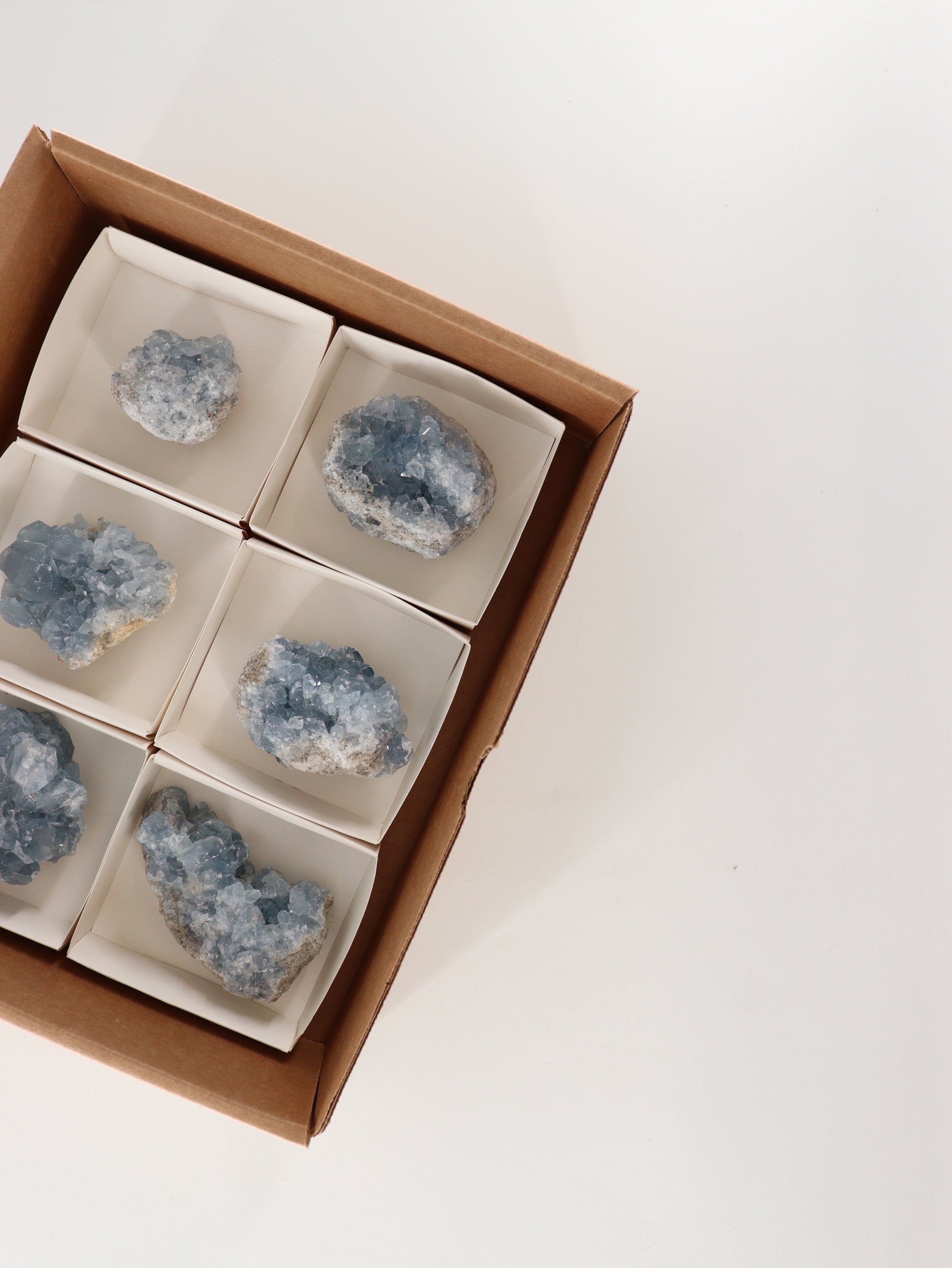 Celestite Clusters Set of 6 - Expert Wholesale and Supplier of Wholesale Crystals & Bulk Gemstones, []