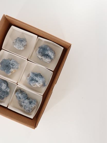 Celestite Clusters Set of 6 - Expert Wholesale and Supplier of Wholesale Crystals & Bulk Gemstones, []