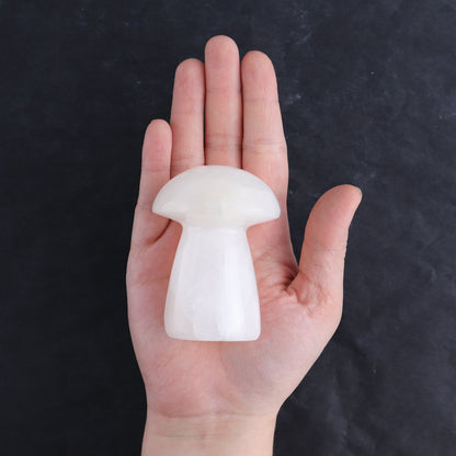 One Mushroom Mexican Onyx/Calcite White