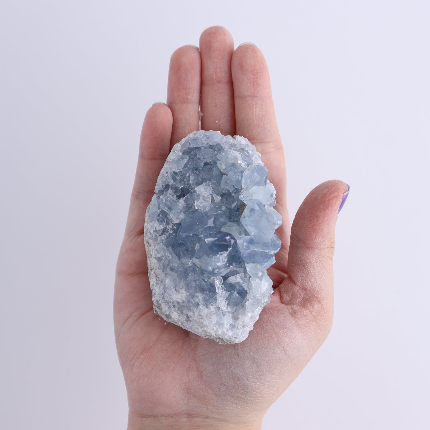 Celestite Clusters Set of 9 - Expert Wholesale and Supplier of Wholesale Crystals & Bulk Gemstones, ["Celestite","Freeform"]