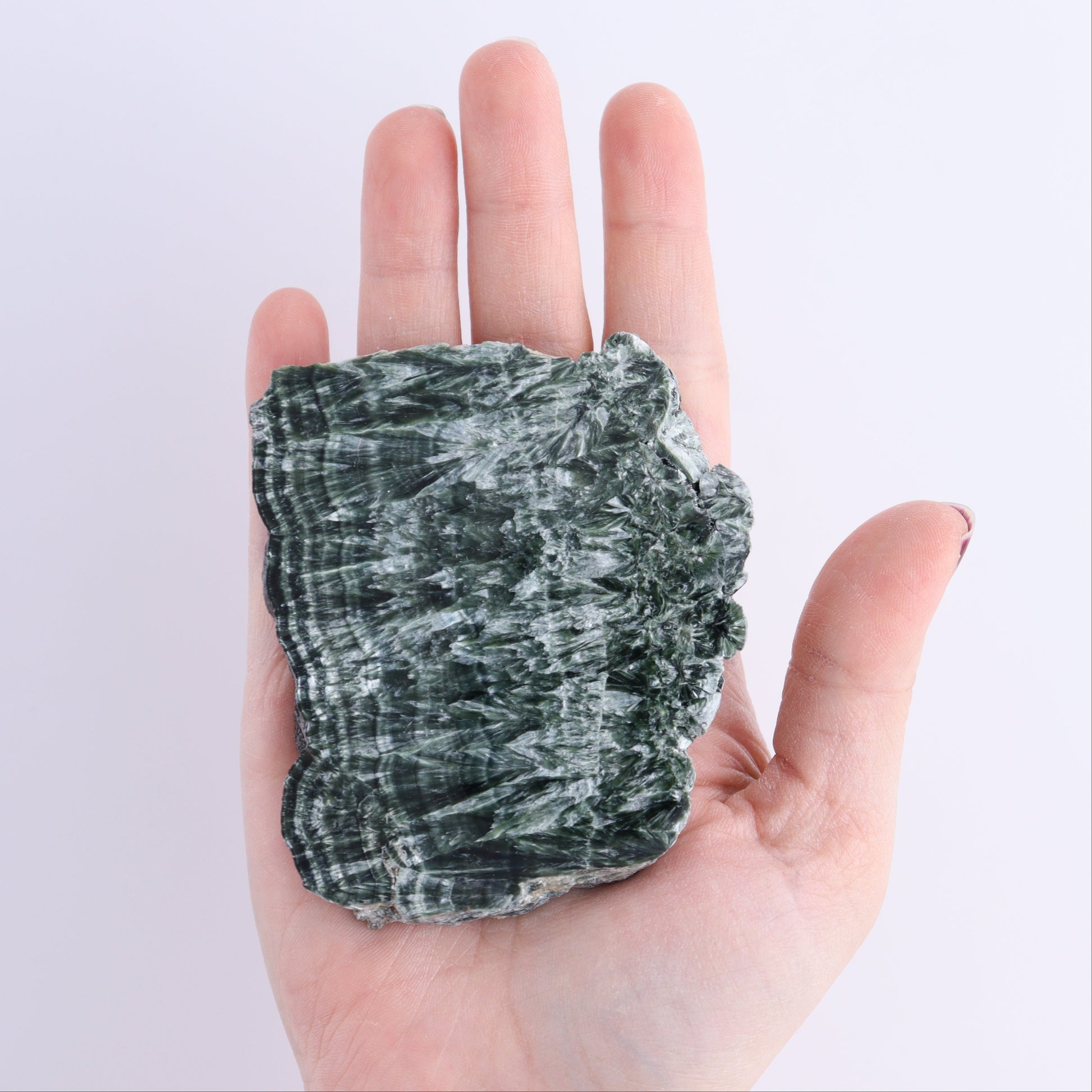 Seraphinite Slices Set of 6 - Expert Wholesale and Supplier of Wholesale Crystals & Bulk Gemstones, ["Russia","Seraphinite","Slices and Slabs"]