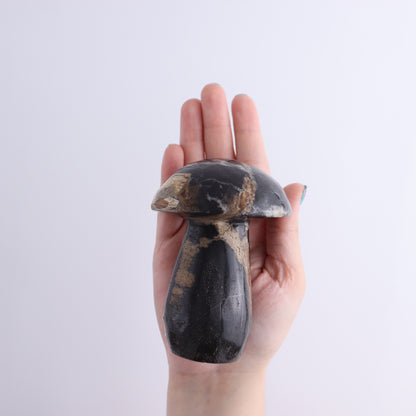 Petrified Wood Mushrooms Set of 4 - Expert Wholesale and Supplier of Wholesale Crystals & Bulk Gemstones, ["Indonesia","Mushrooms","Petrified Wood"]