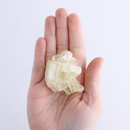 Apophyllite Clusters Flat of 12