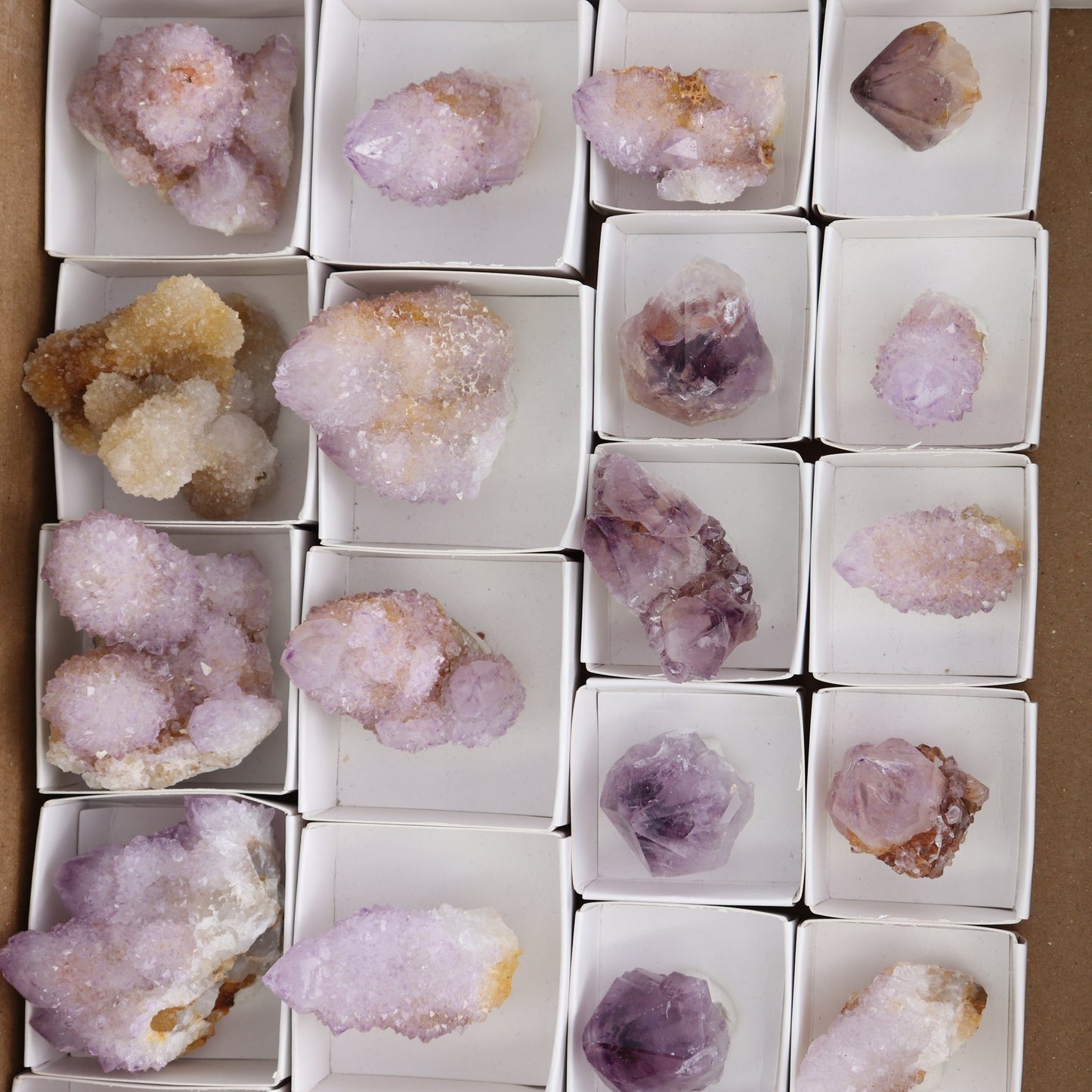 Cactus Quartz Set of 22