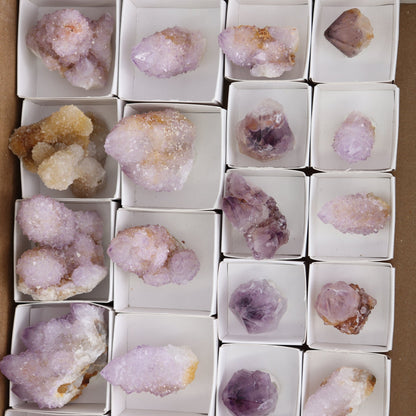 Cactus Quartz Set of 22
