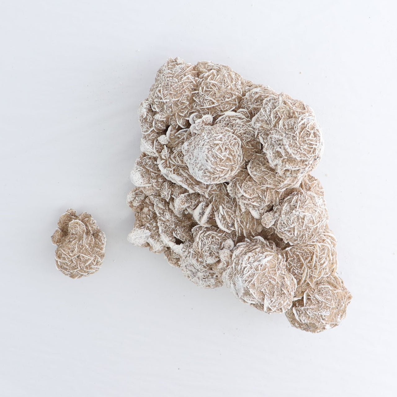 Desert Rose Set of 3