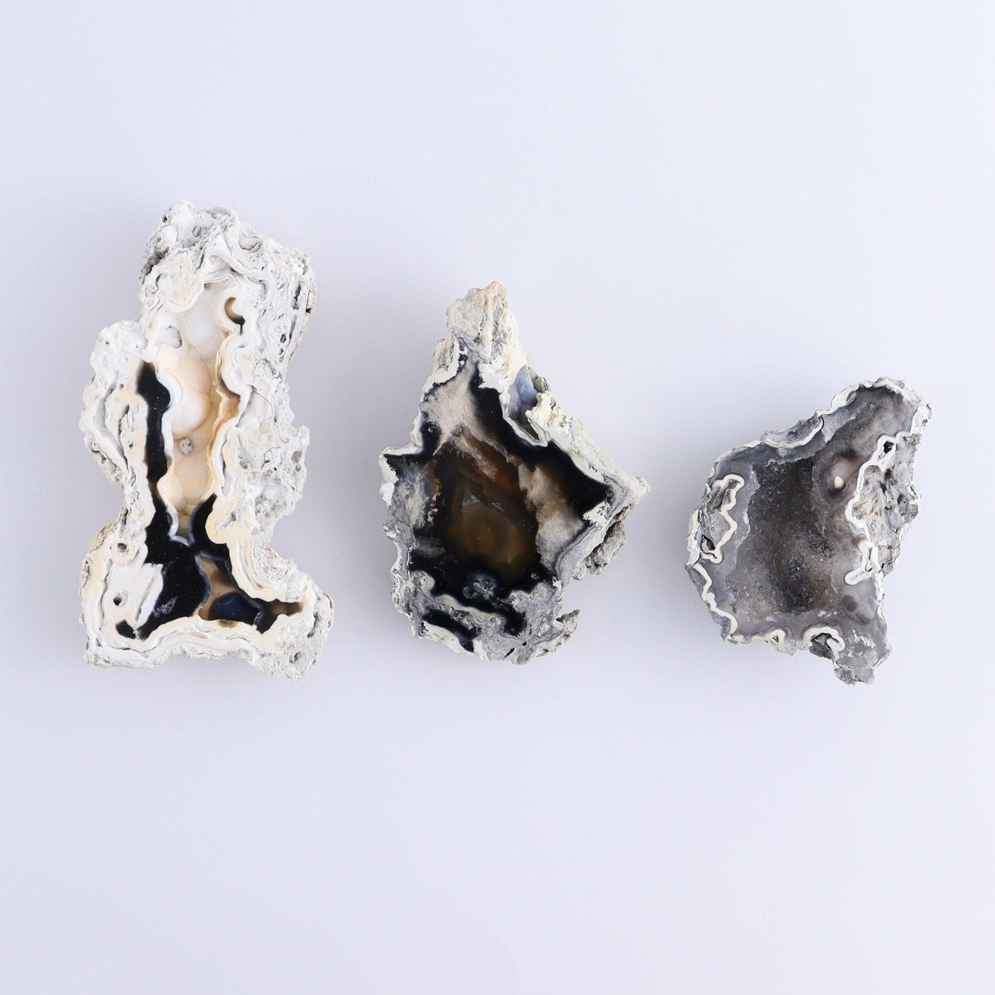 Agatized Coral Flat - Expert Wholesale and Supplier of Wholesale Crystals & Bulk Gemstones, ["Agate","Agatized Coral","Coral","United States"]