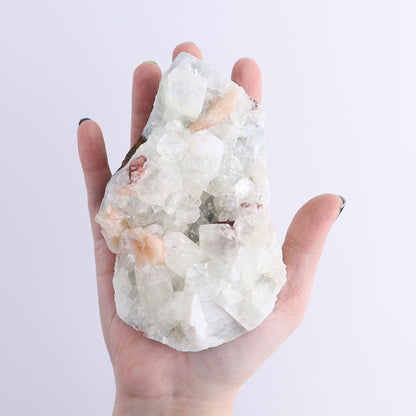 Apophyllite Clusters Set of 6 - Expert Wholesale and Supplier of Wholesale Crystals & Bulk Gemstones, ["Apophyllite","Clusters","Flats"]