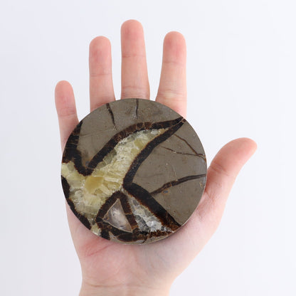 Septarian Coaster Set of 4