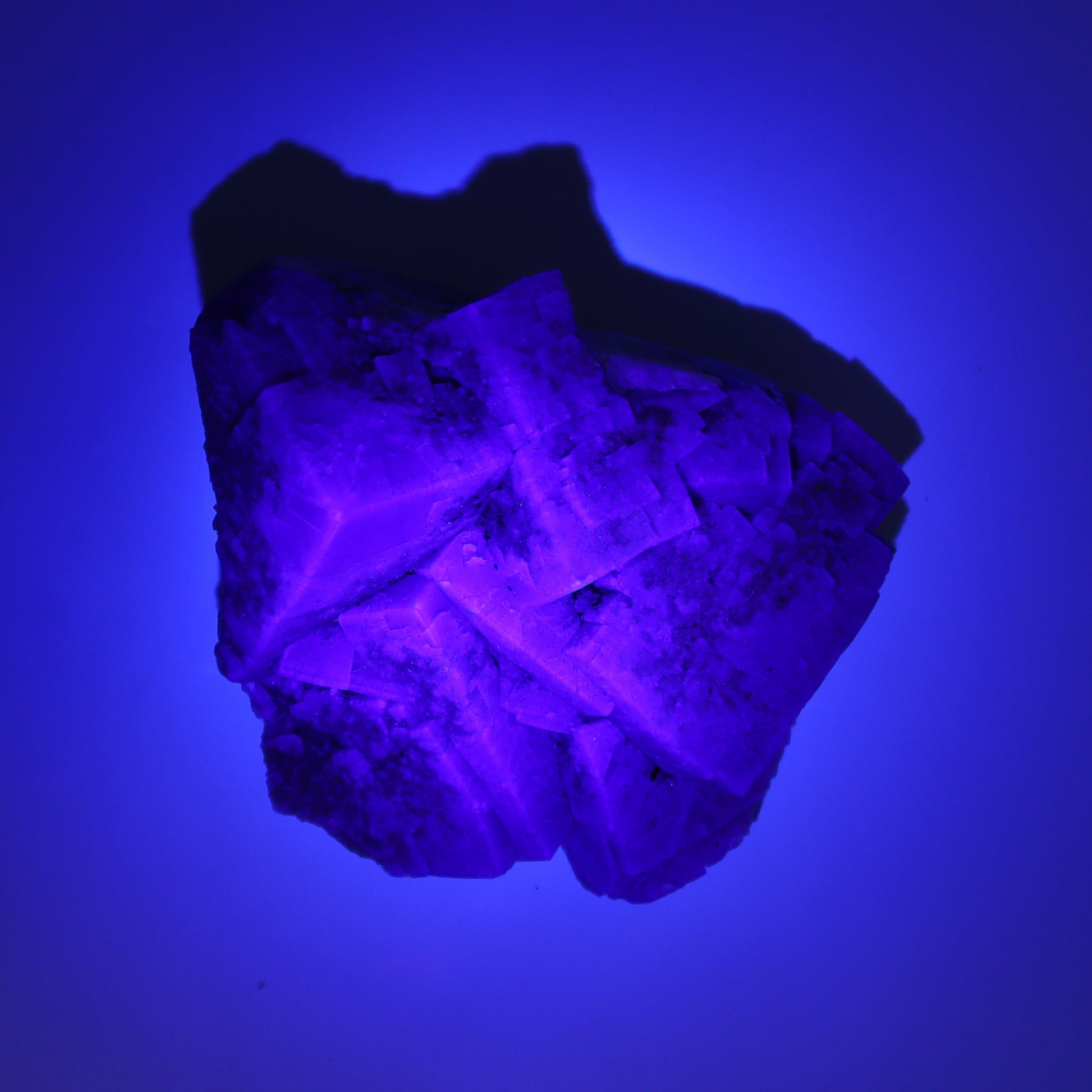 Purple Rain Pocket Fluorite Set of 4 - Expert Wholesale and Supplier of Wholesale Crystals & Bulk Gemstones, ["close_50","England","Fluorite","Purple Rain Pocket","Rough"]