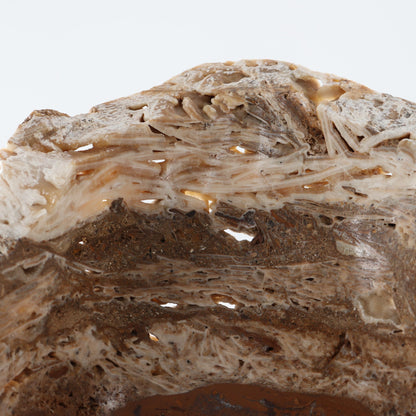 Mexican Onyx/Calcite Bowl 22"