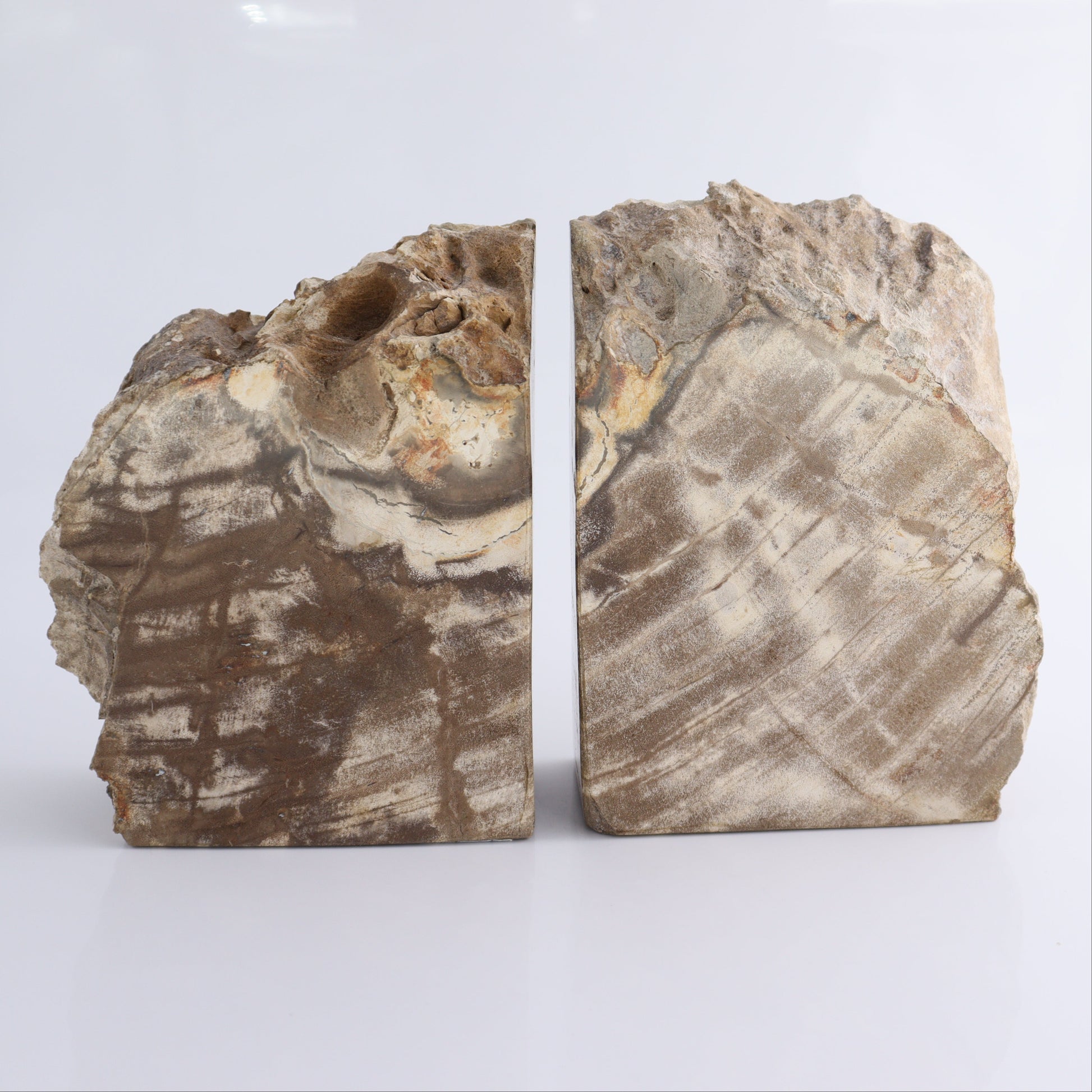 Bookends Petrified Wood - Expert Wholesale and Supplier of Wholesale Crystals & Bulk Gemstones, ["Bookends","Indonesia","Petrified Wood"]