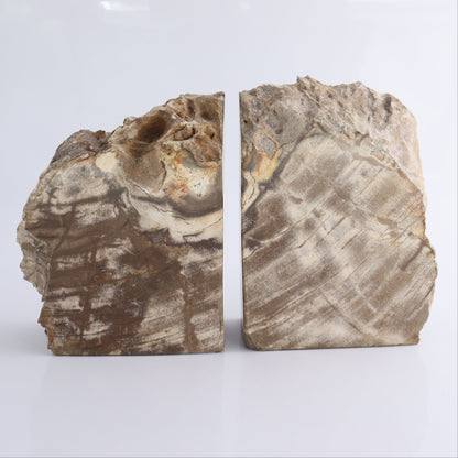 Bookends Petrified Wood - Expert Wholesale and Supplier of Wholesale Crystals & Bulk Gemstones, ["Bookends","Indonesia","Petrified Wood"]