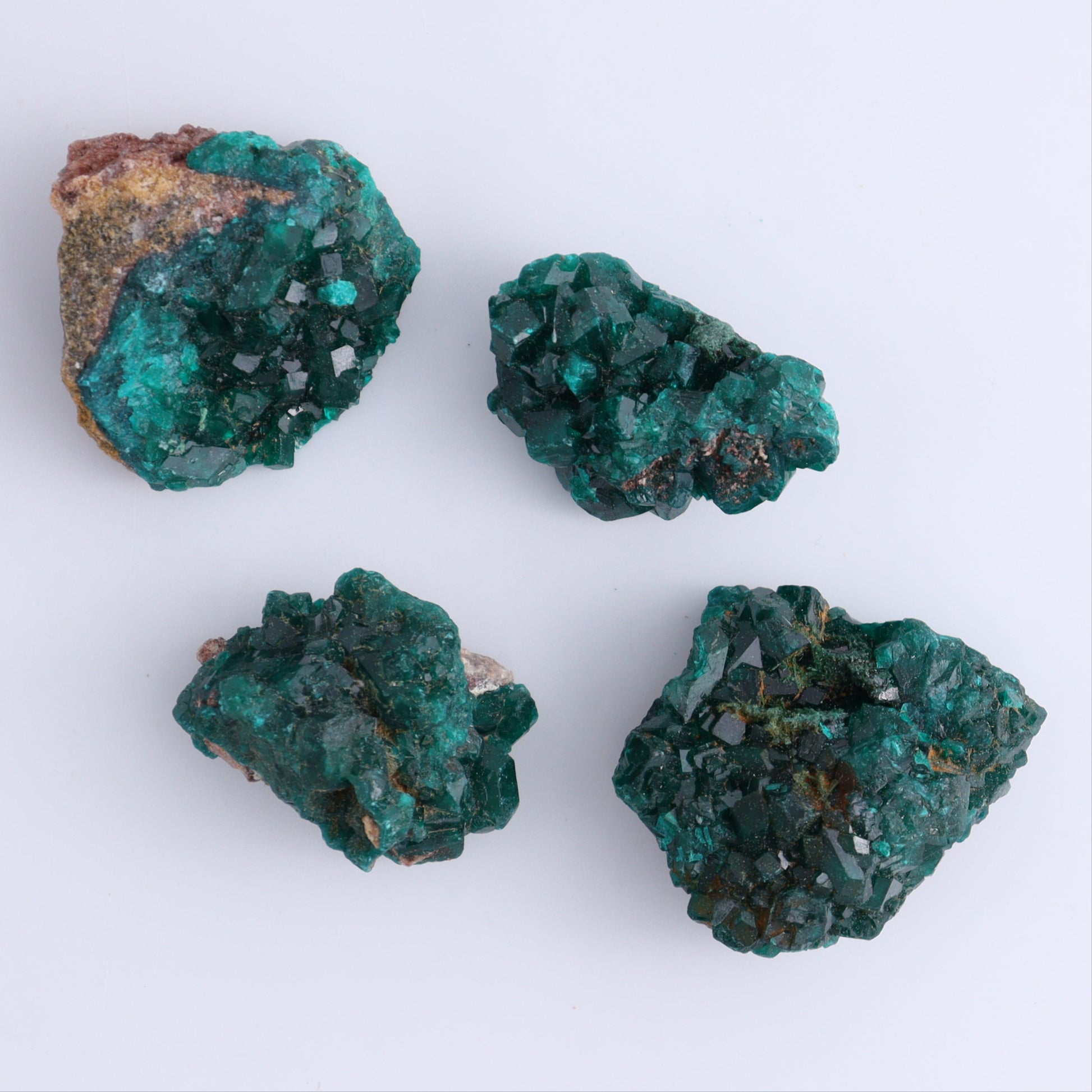 Dioptase Set of 12 - Expert Wholesale and Supplier of Wholesale Crystals & Bulk Gemstones, ["dioptase","Freeform","Freeforms"]