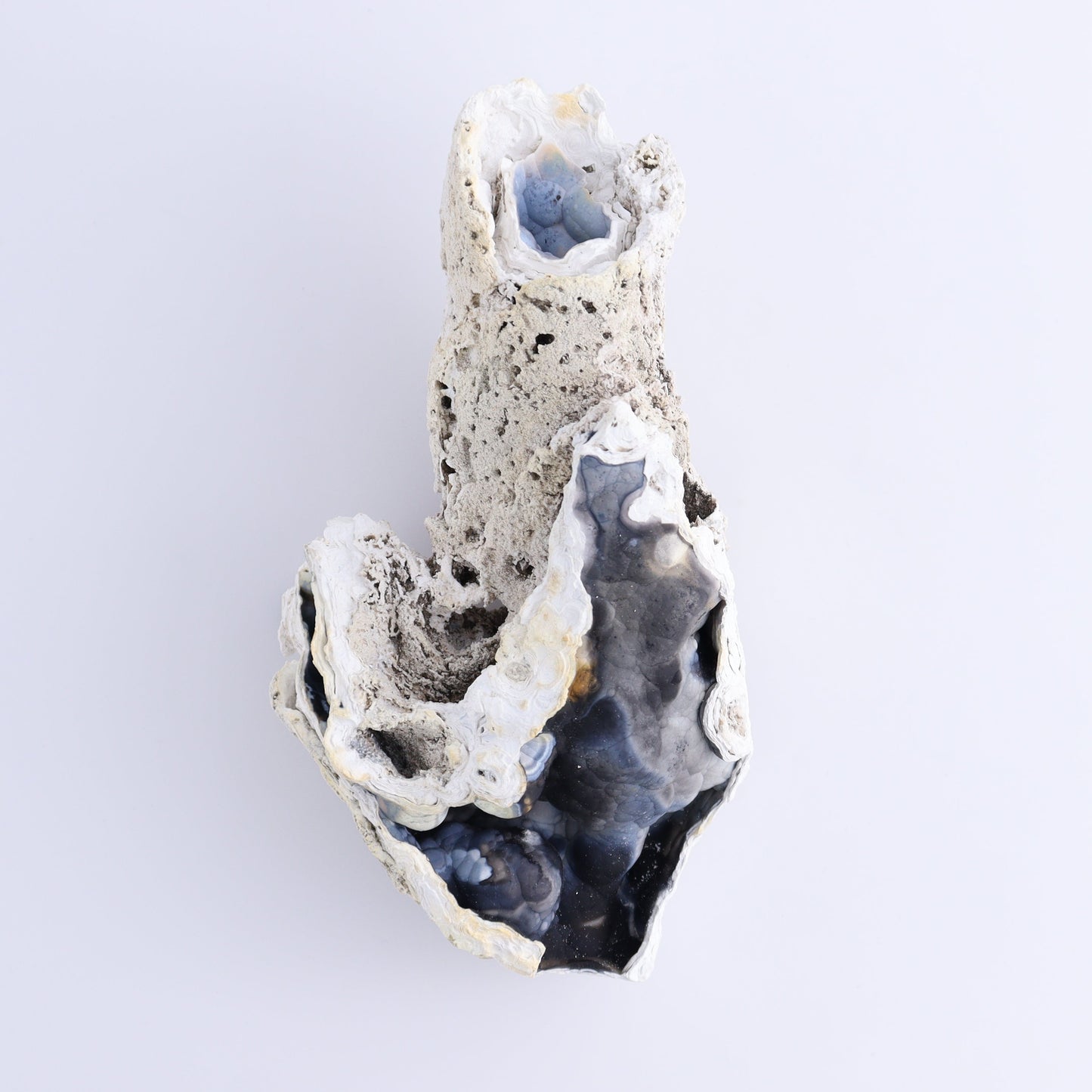 Agatized Coral Flat - Expert Wholesale and Supplier of Wholesale Crystals & Bulk Gemstones, ["Agate","Agatized Coral","Coral","United States"]