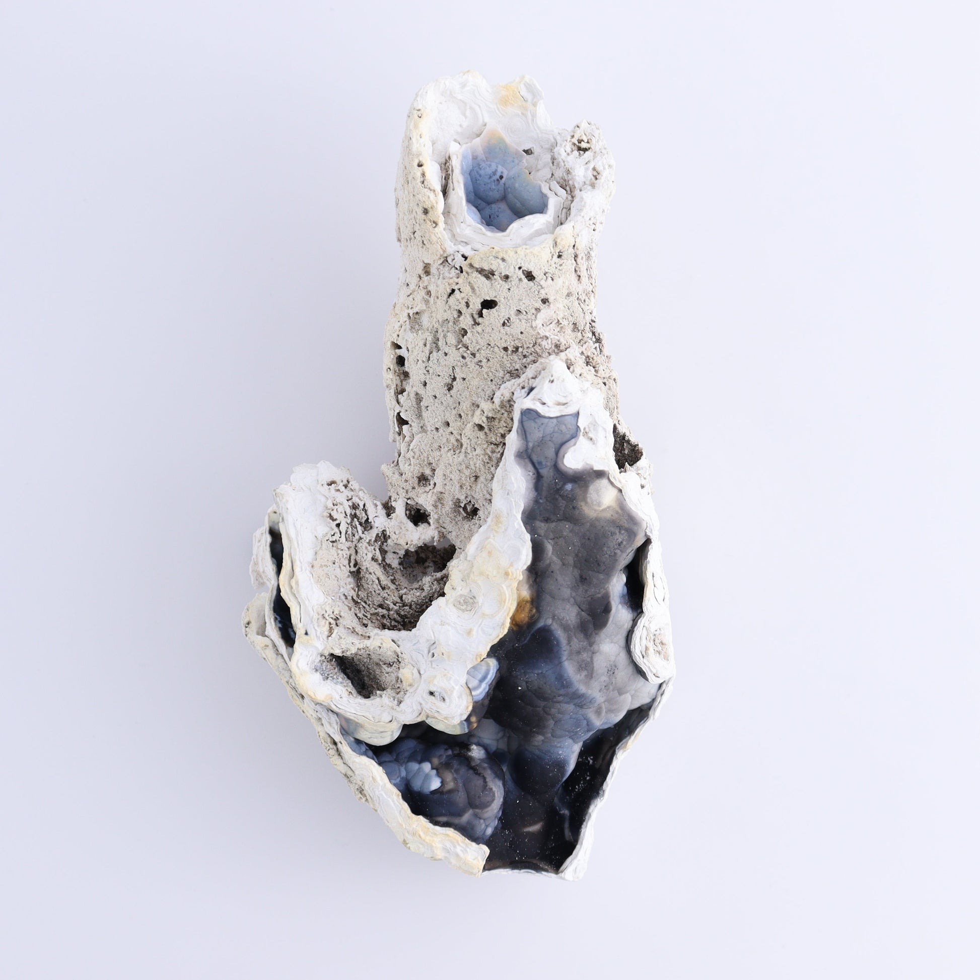 Agatized Coral Flat - Expert Wholesale and Supplier of Wholesale Crystals & Bulk Gemstones, ["Agate","Agatized Coral","Coral","United States"]