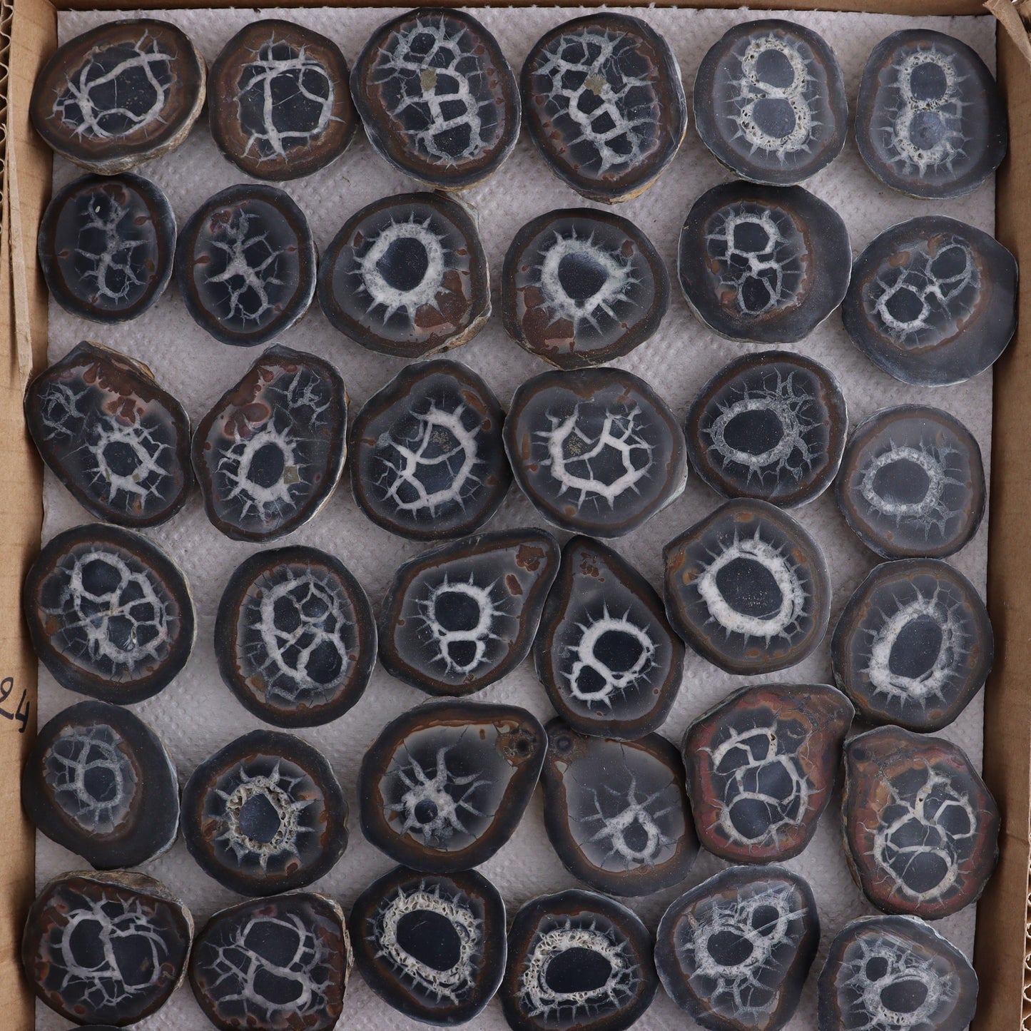 Septarian Geodes Flat - Expert Wholesale and Supplier of Wholesale Crystals & Bulk Gemstones, ["Geodes","Septarian"]