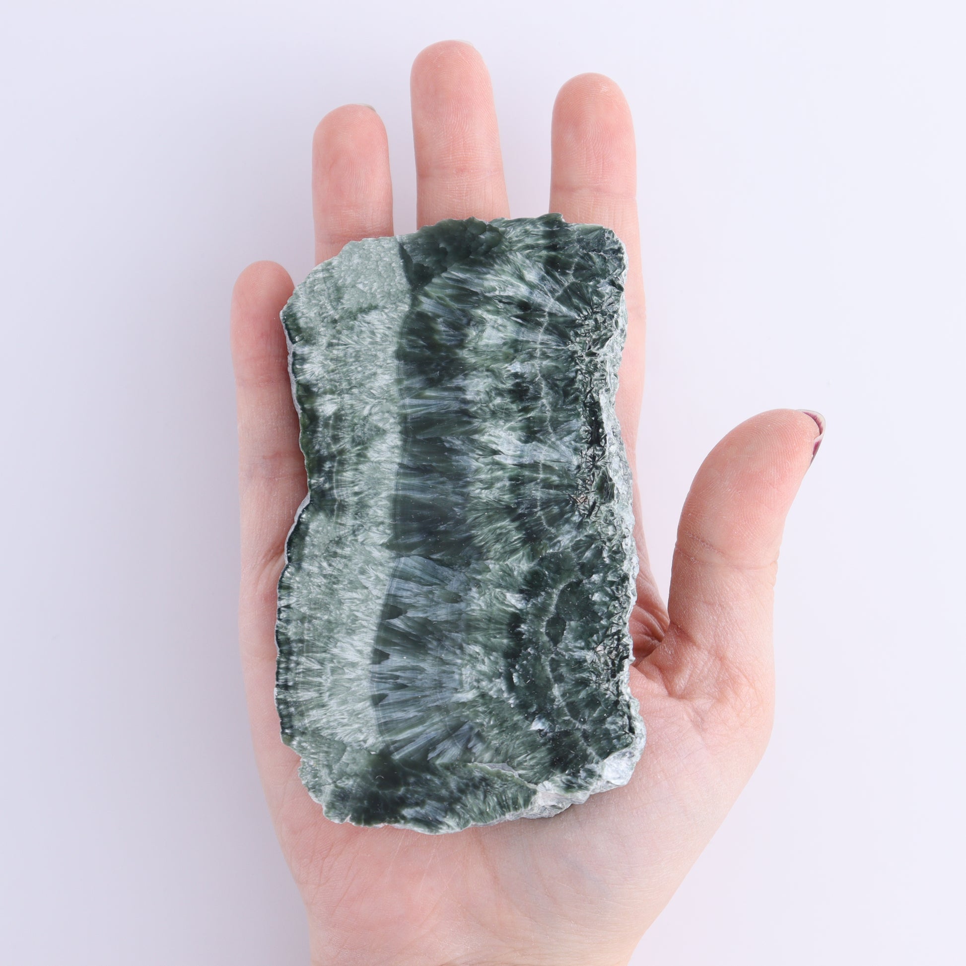 Seraphinite Slices Set of 6 - Expert Wholesale and Supplier of Wholesale Crystals & Bulk Gemstones, ["Russia","Seraphinite","Slices and Slabs"]