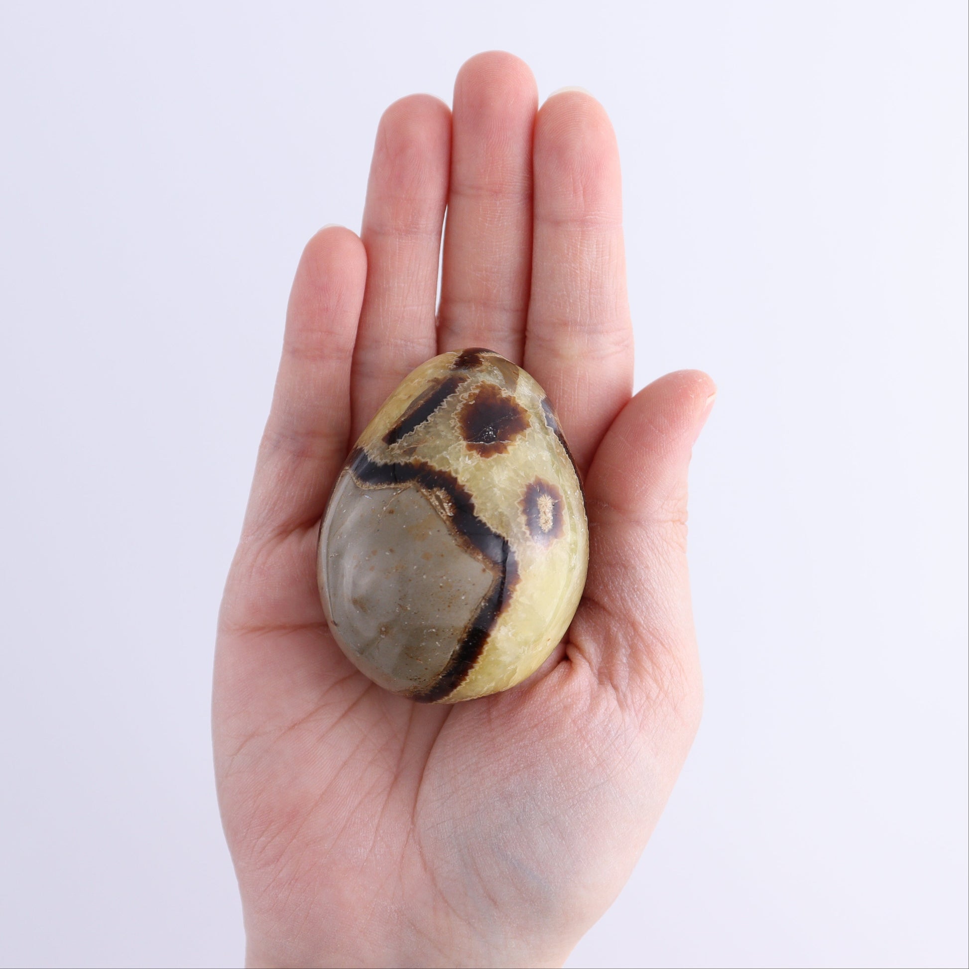 Septarian Eggs Set of 6 - Expert Wholesale and Supplier of Wholesale Crystals & Bulk Gemstones, ["Eggs","Madagascar","Septarian"]