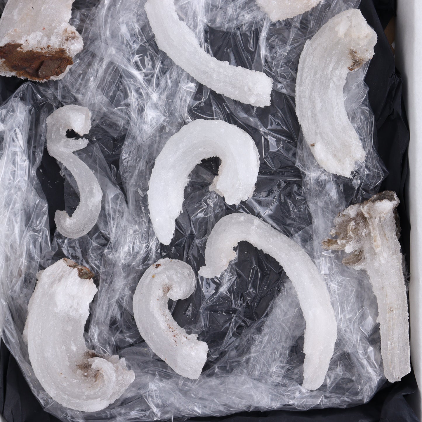 Rams Horn Selenite Set of 10 - Expert Wholesale and Supplier of Wholesale Crystals & Bulk Gemstones, ["Freeform","Freeforms","selenite"]