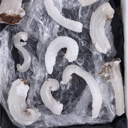Rams Horn Selenite Set of 10 - Expert Wholesale and Supplier of Wholesale Crystals & Bulk Gemstones, ["Freeform","Freeforms","selenite"]