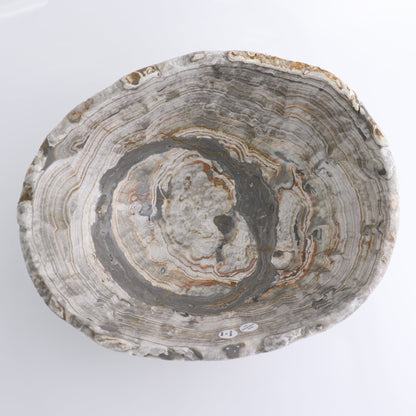 Mexican Onyx/Calcite Bowl 10"