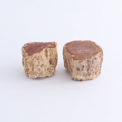 Petrified Wood Cut Bases Set of 10 - Expert Wholesale and Supplier of Wholesale Crystals & Bulk Gemstones, ["Cut Base","Petrified Wood"]