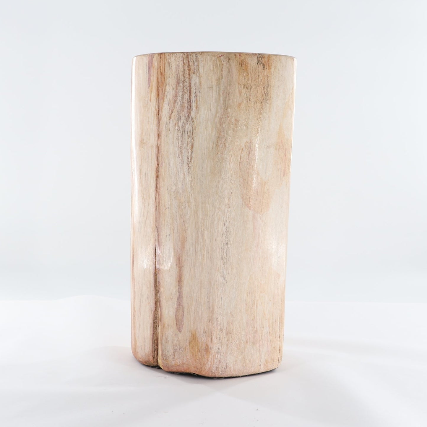 Petrified Wood Stool
