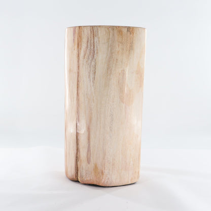 Petrified Wood Stool