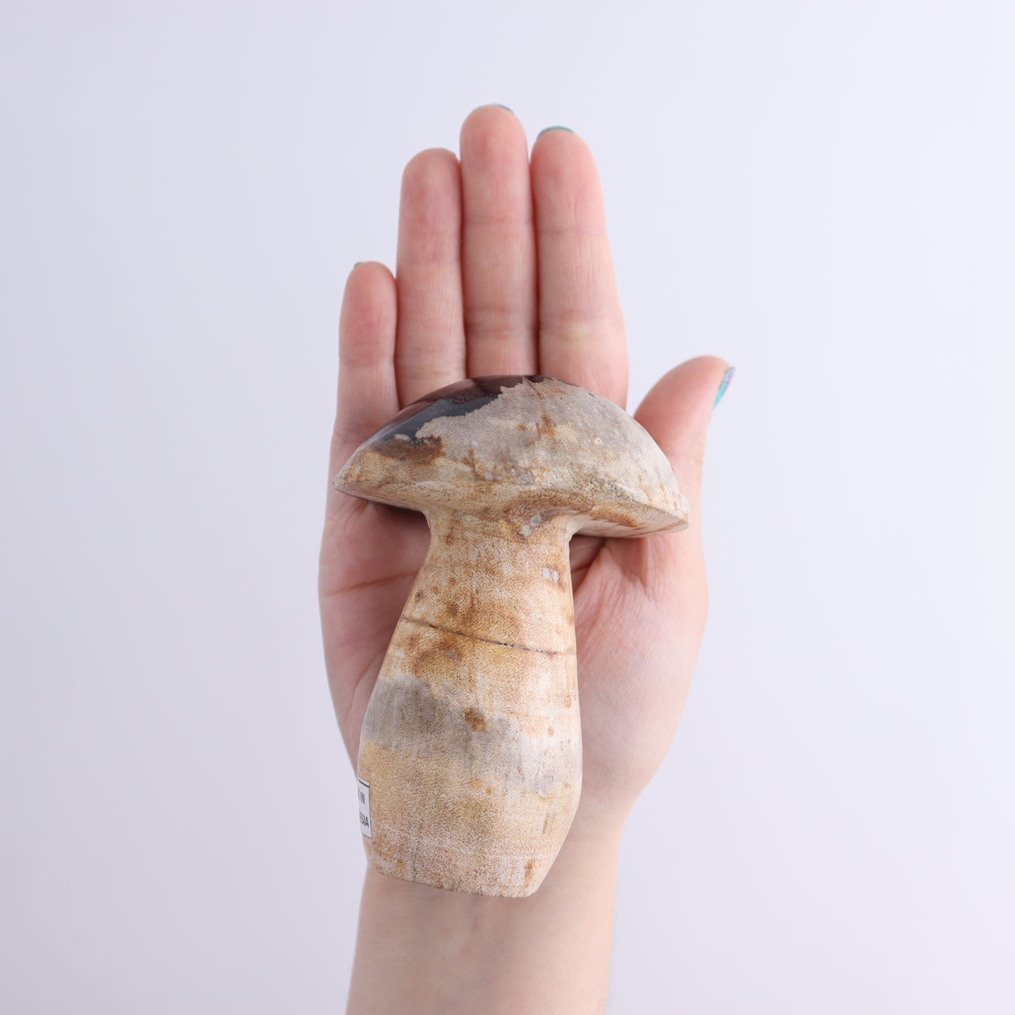 Petrified Wood Mushrooms Set of 4 - Expert Wholesale and Supplier of Wholesale Crystals & Bulk Gemstones, ["Indonesia","Mushrooms","Petrified Wood"]