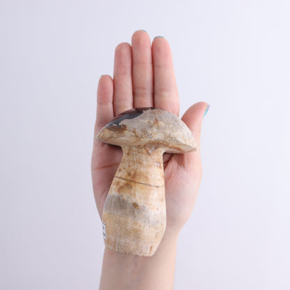 Petrified Wood Mushrooms Set of 4 - Expert Wholesale and Supplier of Wholesale Crystals & Bulk Gemstones, ["Indonesia","Mushrooms","Petrified Wood"]