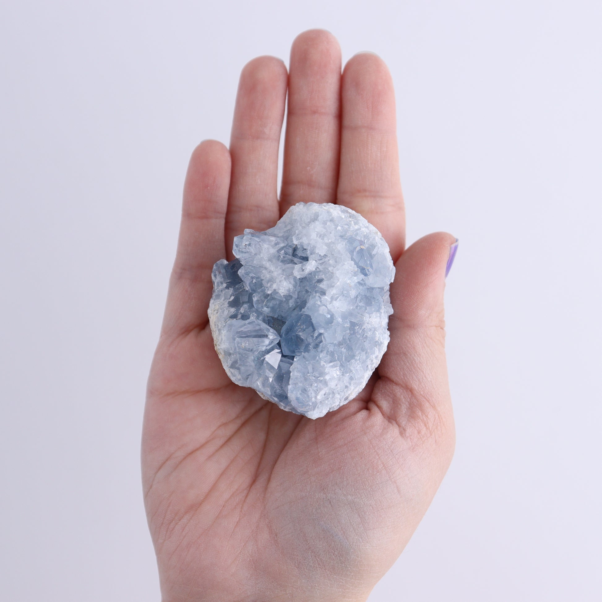 Celestite Clusters Set of 9 - Expert Wholesale and Supplier of Wholesale Crystals & Bulk Gemstones, ["Celestite","Freeform"]