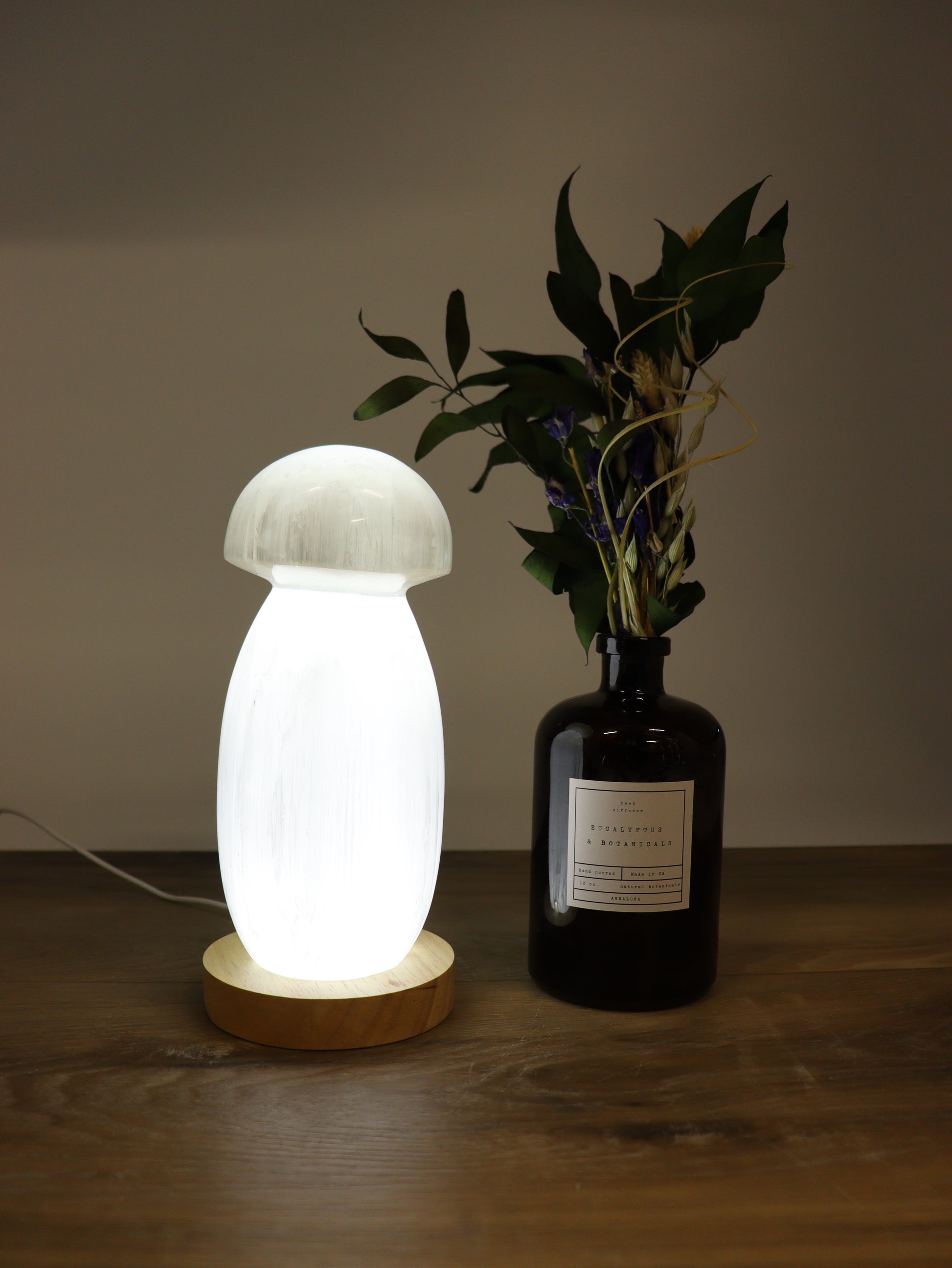 Mushroom Selenite Lamp - Expert Supplier of Wholesale Crystals & Bulk Gemstones