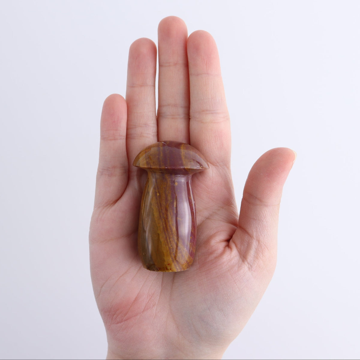 Jasper Mushrooms Set of 8