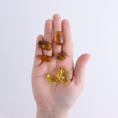 Amber Cabs Set of 12 - Expert Wholesale and Supplier of Wholesale Crystals & Bulk Gemstones, ["Amber","Cabs"]