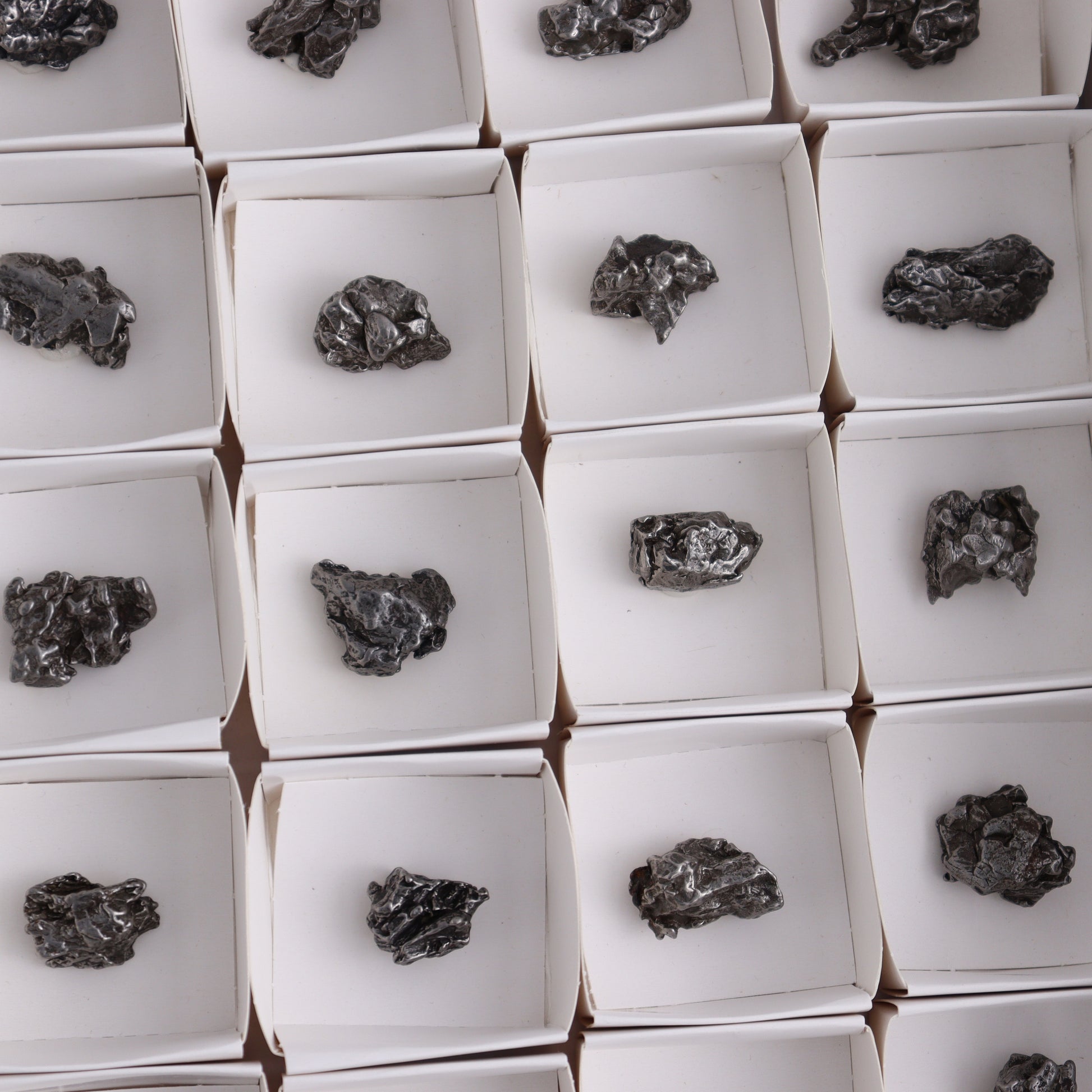 Campo del Cielo Meteorites from Argentina, Flat of 54 - Expert Wholesale and Supplier of Wholesale Crystals & Bulk Gemstones, ["Argentina","Flats","Meteorite"]