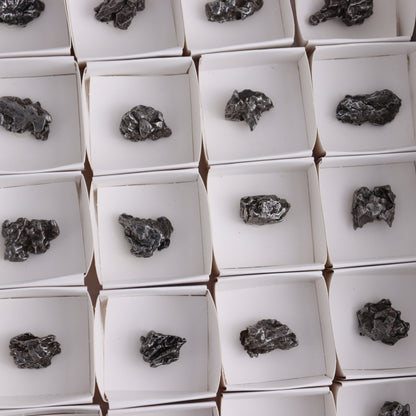 Campo del Cielo Meteorites from Argentina, Flat of 54 - Expert Wholesale and Supplier of Wholesale Crystals & Bulk Gemstones, ["Argentina","Flats","Meteorite"]